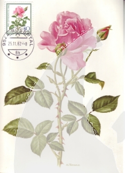 CH MC 1236 / 1240 ● - 1982